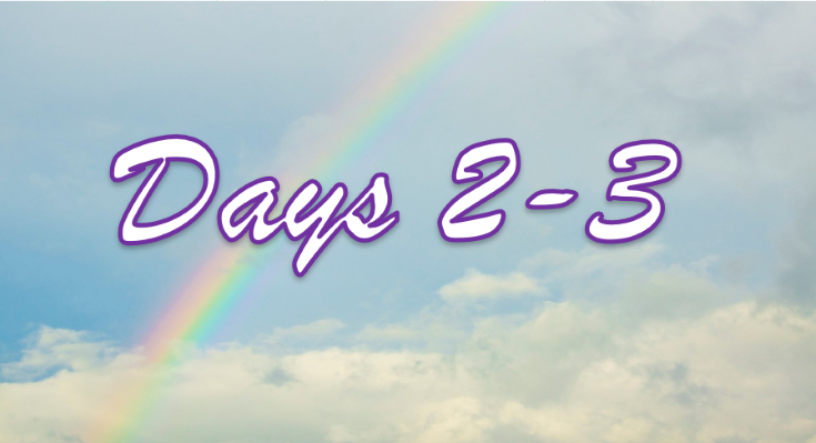 Days 2-3