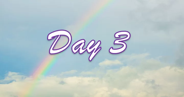 Day 3