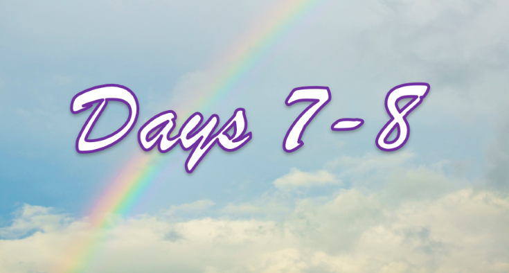 7-8 Days