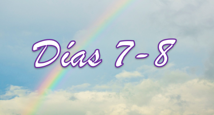 Dias 7-8