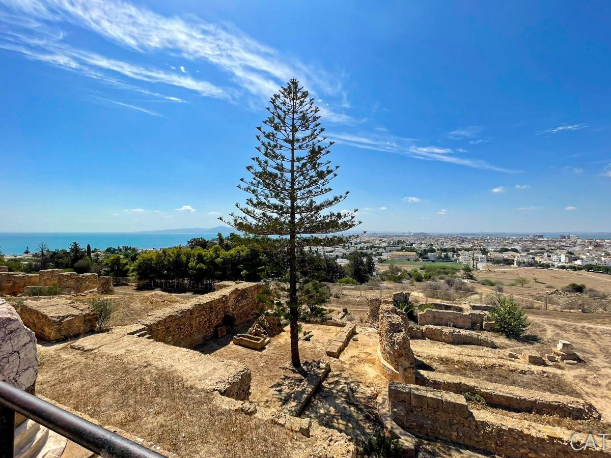 8 days in Tunisia