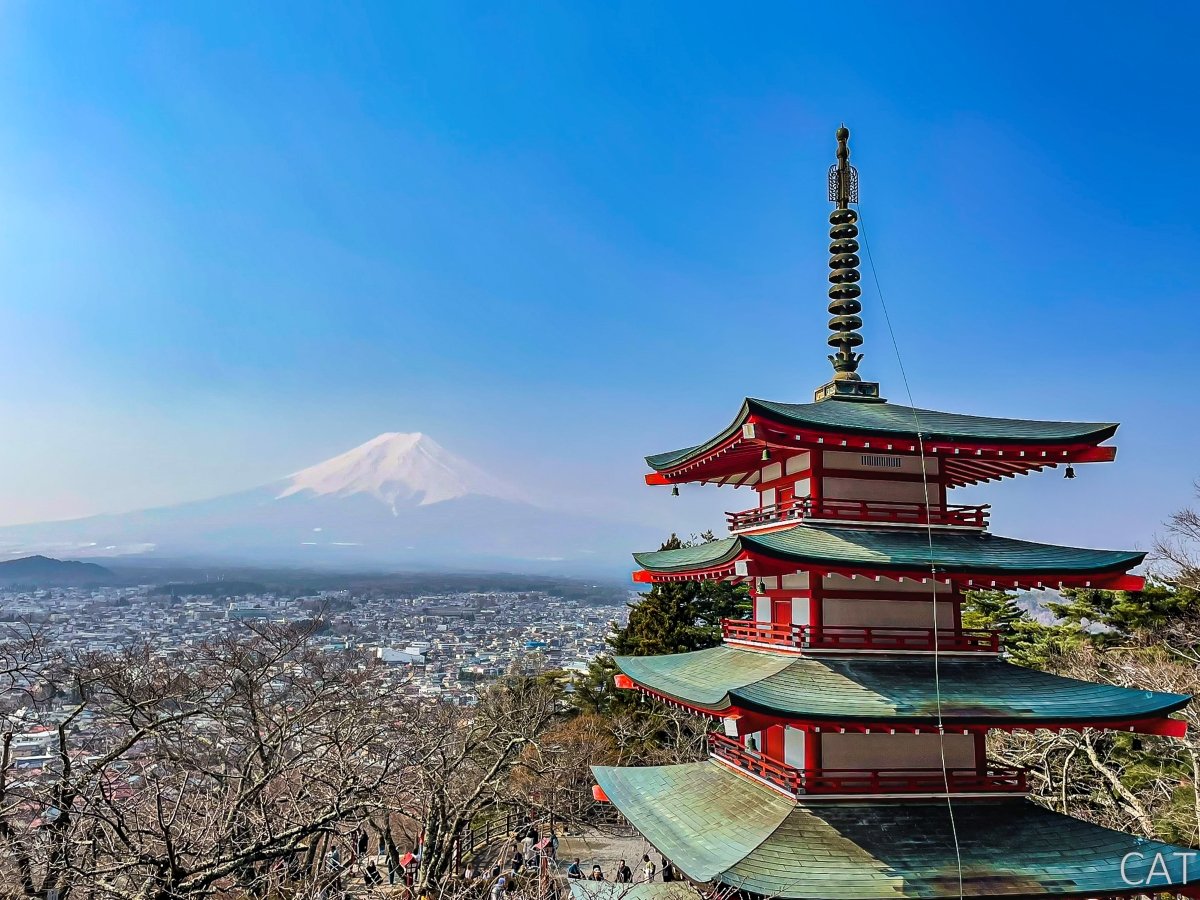 Odawara, Hakone, Fujiyoshida & Nagoya: Castles, Onsen, Fuji