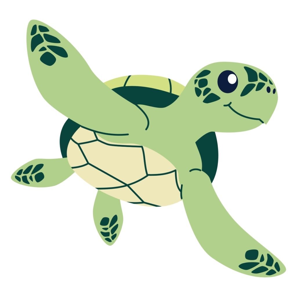 Tortuga sonriente