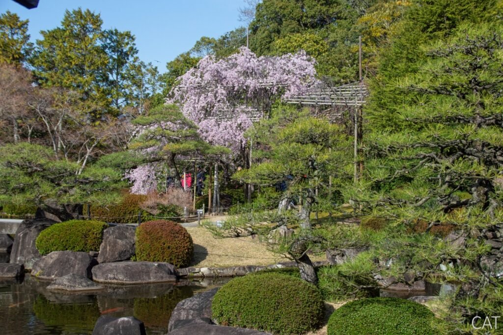 Himeji_Kokoen Garden