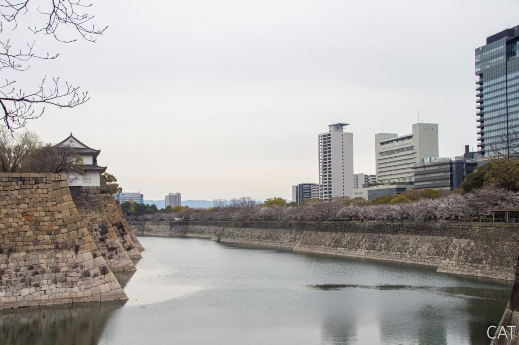 Osaka Highlights III