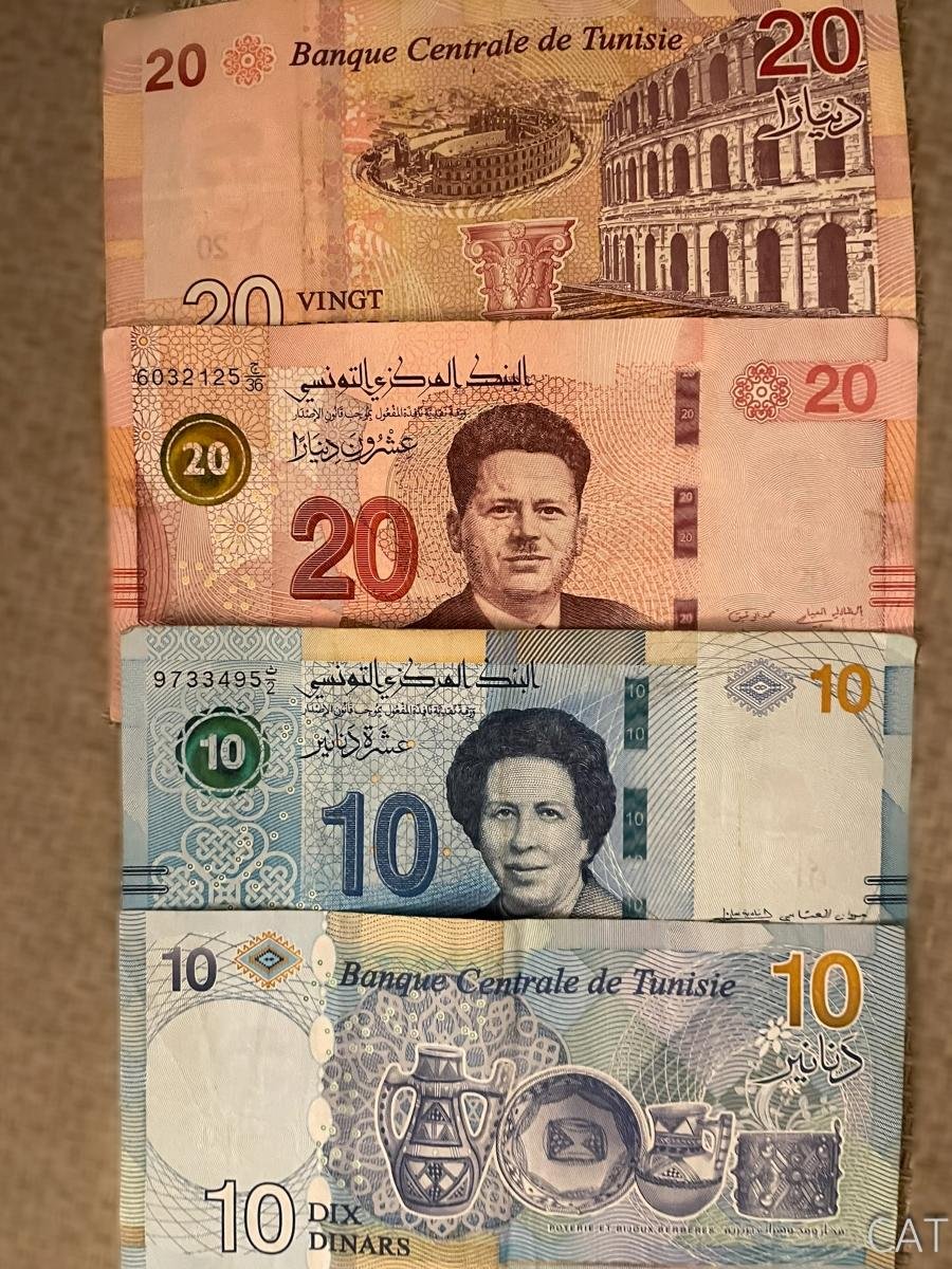 8 days in Tunisia