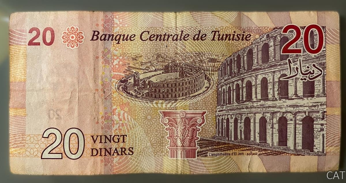 8 days in Tunisia
