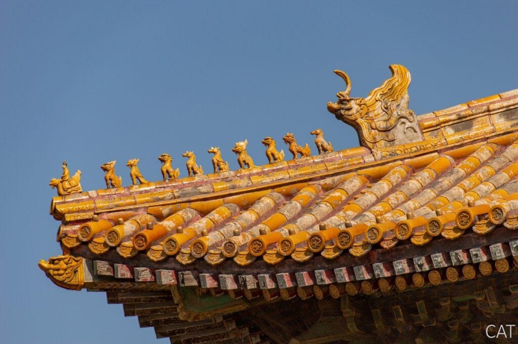China in 10 days