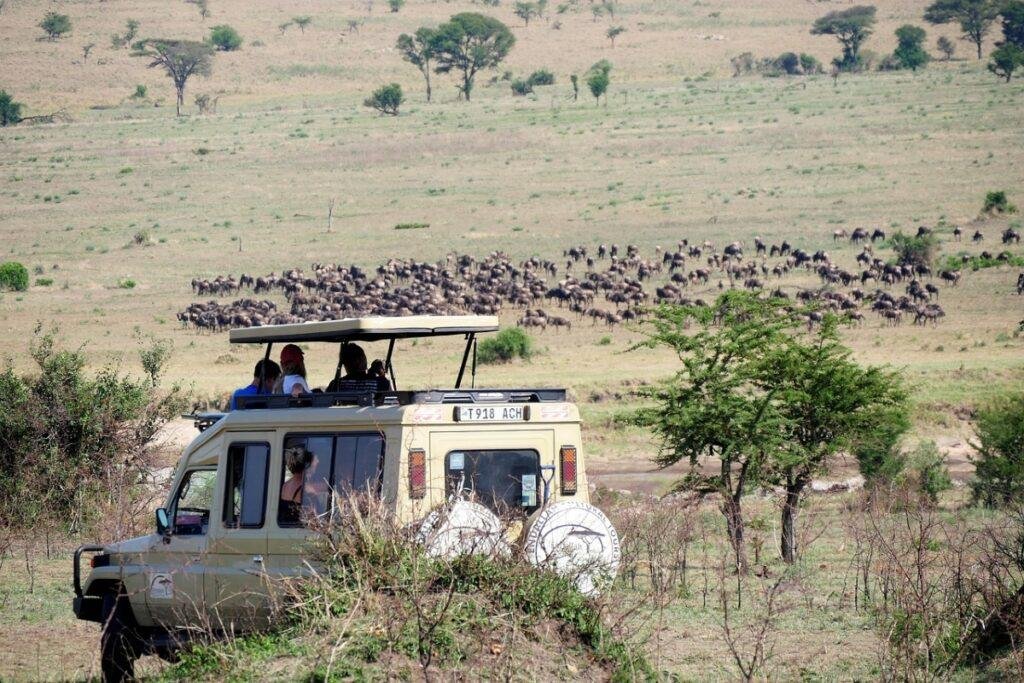 Kenia - Información de Viaje