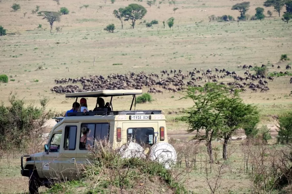 Kenya — Travel Information