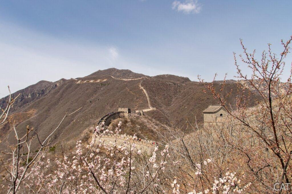 China in 10 days