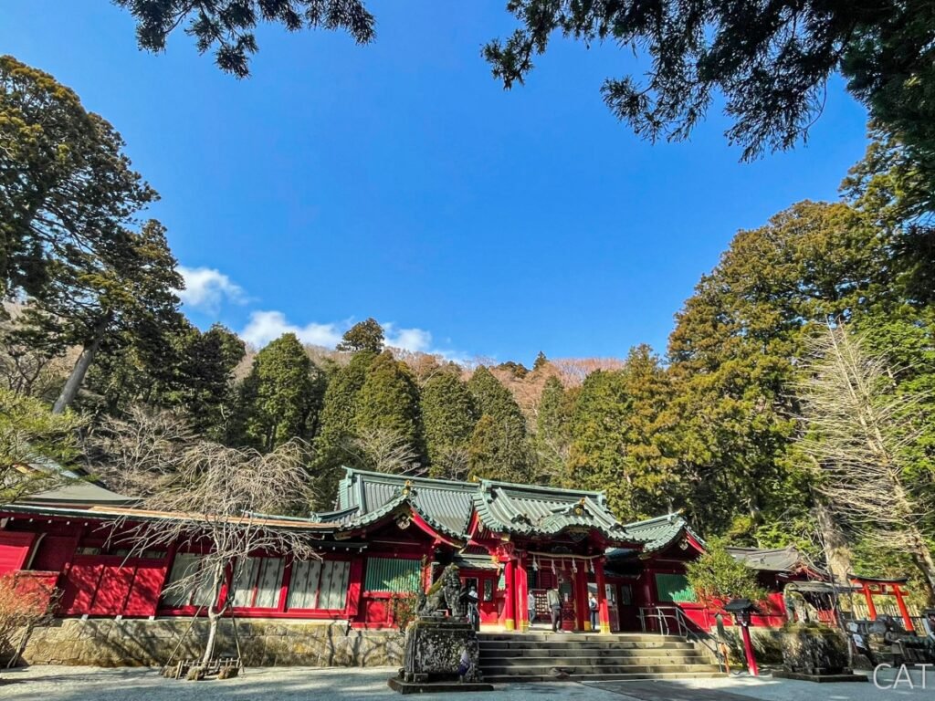 Odawara, Hakone, Fujiyoshida & Nagoya: Castles, Onsen, Fuji_Hakone Shrine_Main Building
