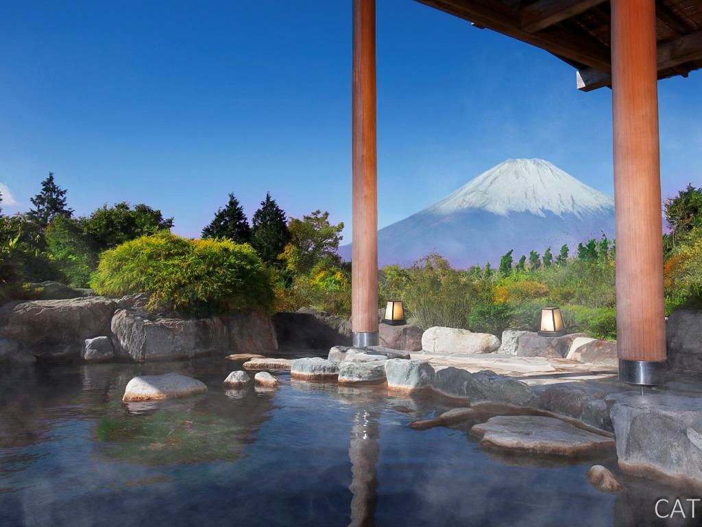 Odawara, Hakone, Fujiyoshida y Nagoya: Castillos, Fuji y Onsen: Hakone_Hotel Green Plaza_Onsen