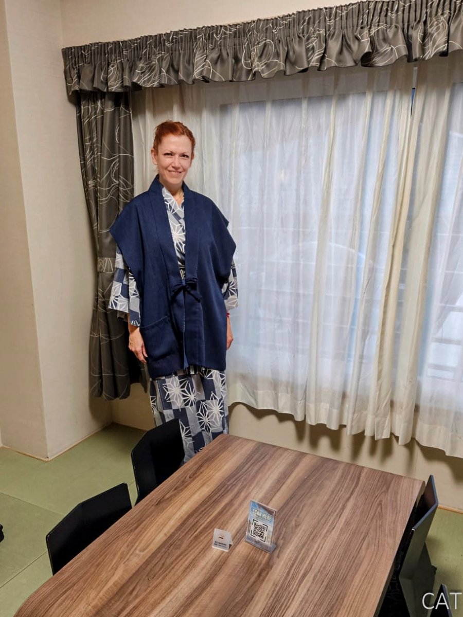 Odawara, Hakone, Fujiyoshida & Nagoya: Castles, Onsen, Fuji_Hakone_Hotel Green Plaza