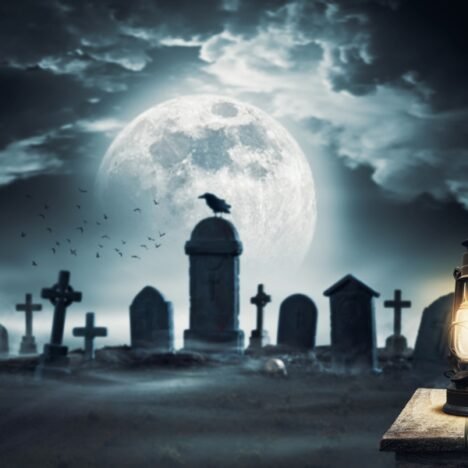 Norway: Chasing the Northern Lights + Oslo