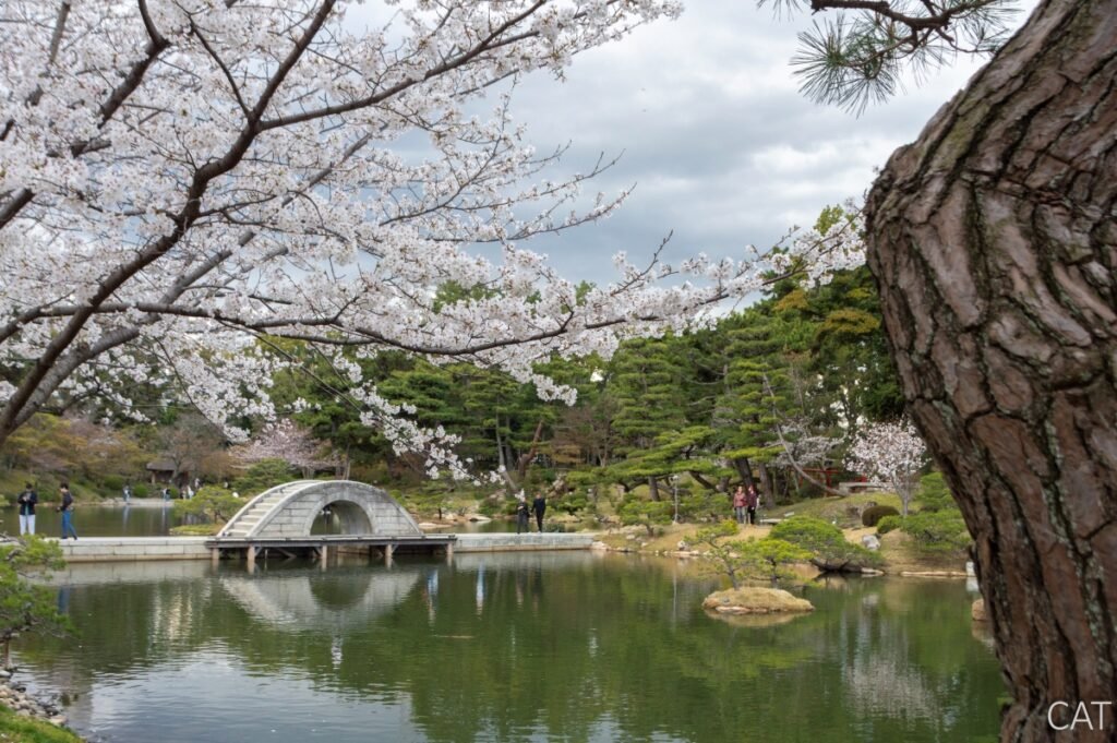 Hiroshima_Shukkeien Garden_