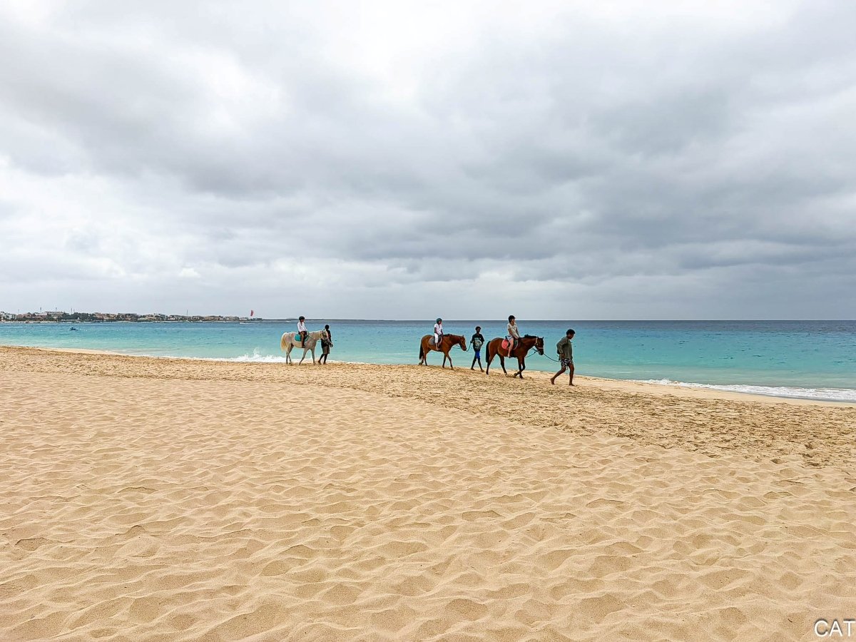 Paseo a caballo en la playa de Santa Maria