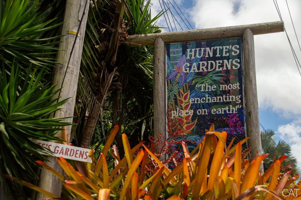 10 days in Barbados