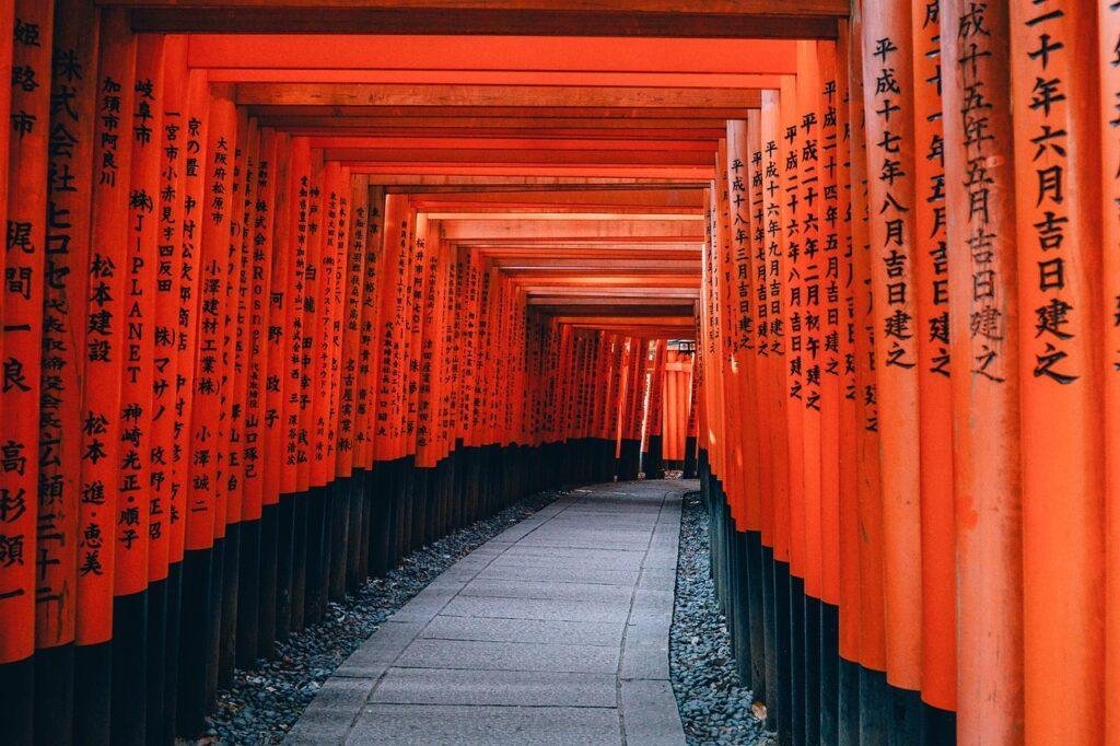 Future Trips (Bucket List)