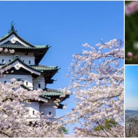 Tokyo 4-Day Itinerary: Best Things to Do & See
