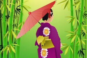  Japón en 20 Días: Itinerario con Cerezos en Flor y las Ciudades Principales: Geisha Kioto