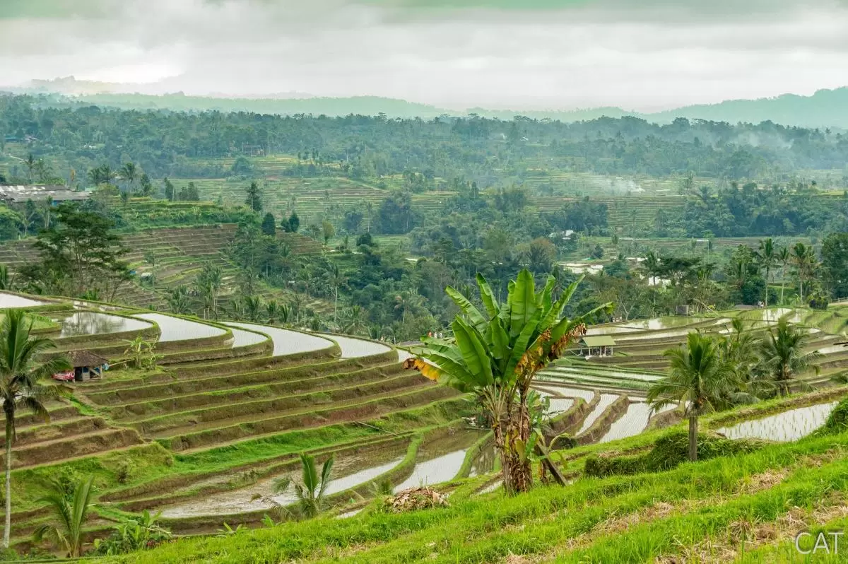 Bali in 7 days