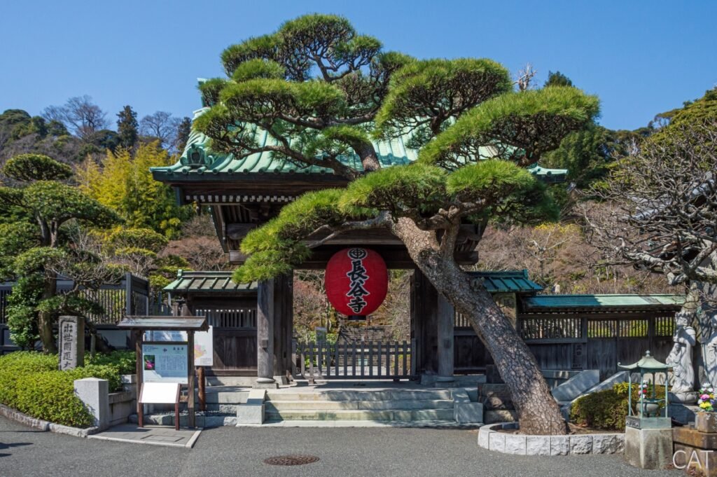 Kamakura_Hasedera Temple - Day Trip from Tokyo