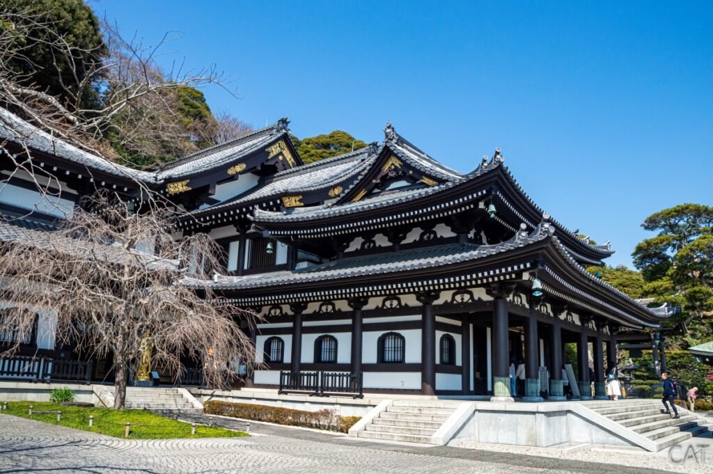 Kamakura desde Tokio_Templo Hasedera