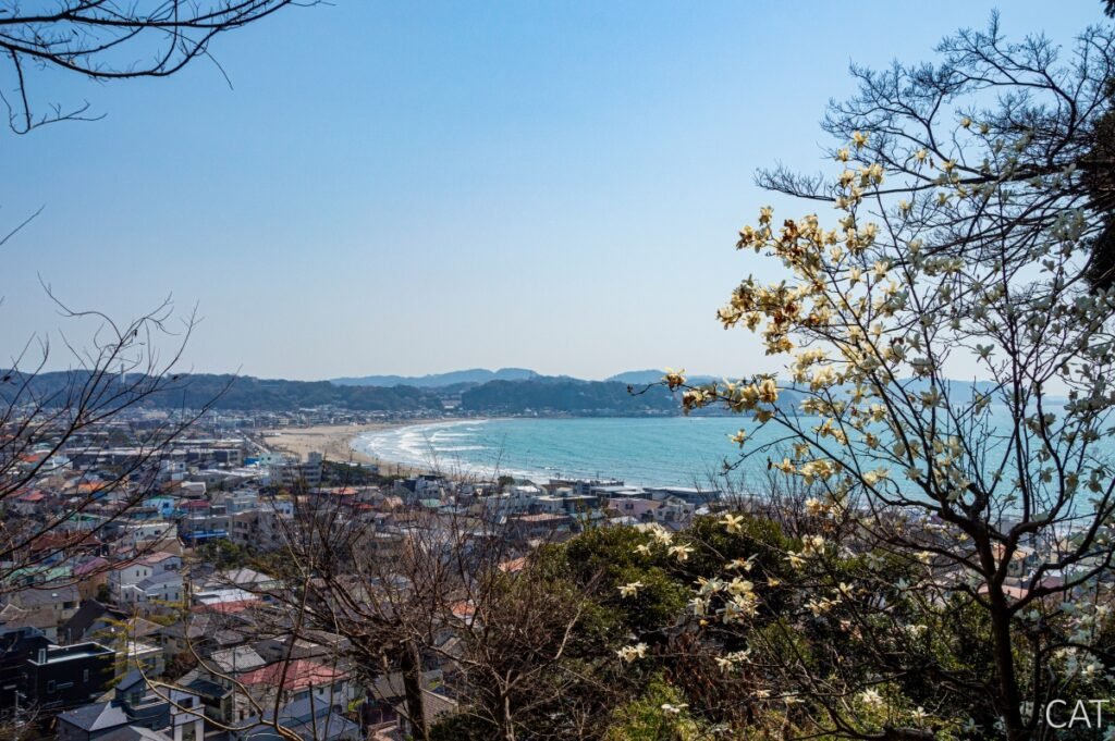 Kamakura sea views - Day Trip from Tokyo