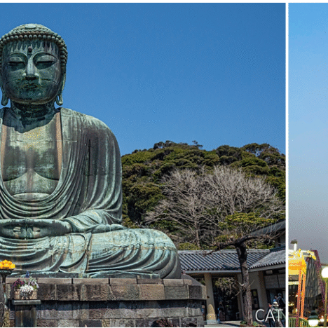 Odawara, Hakone, Fujiyoshida & Nagoya: Castles, Fuji, Onsen