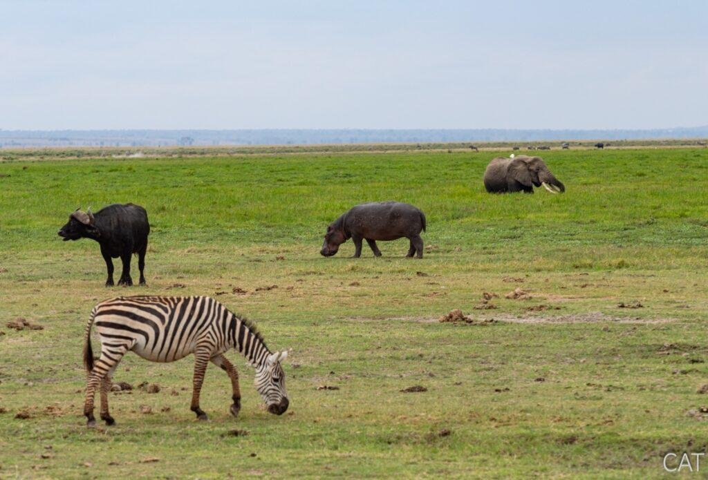 Kenia - Información de Viaje