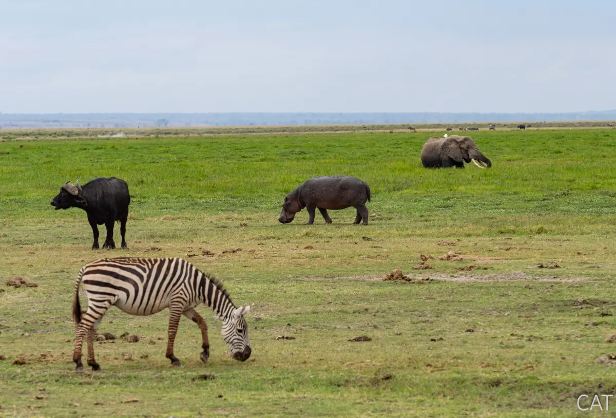 Kenya — Travel Information