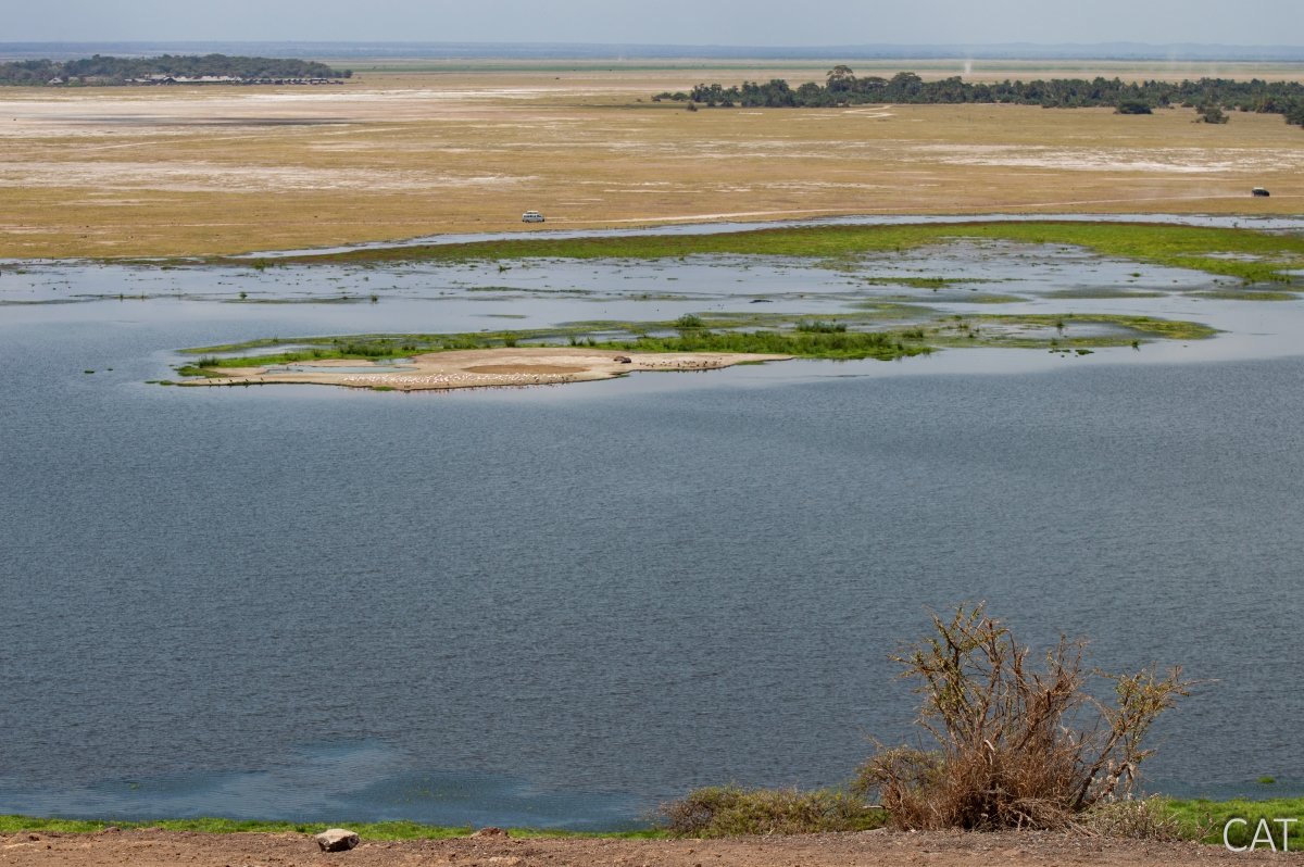 The Big 5 (Kenya and Tanzania)