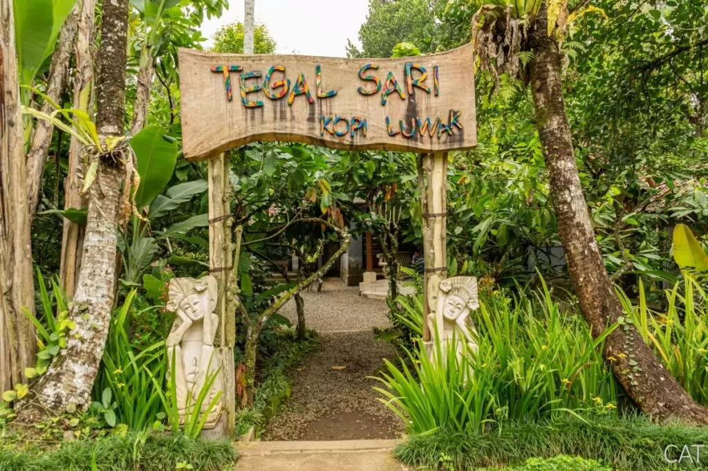 Bali in 7 days