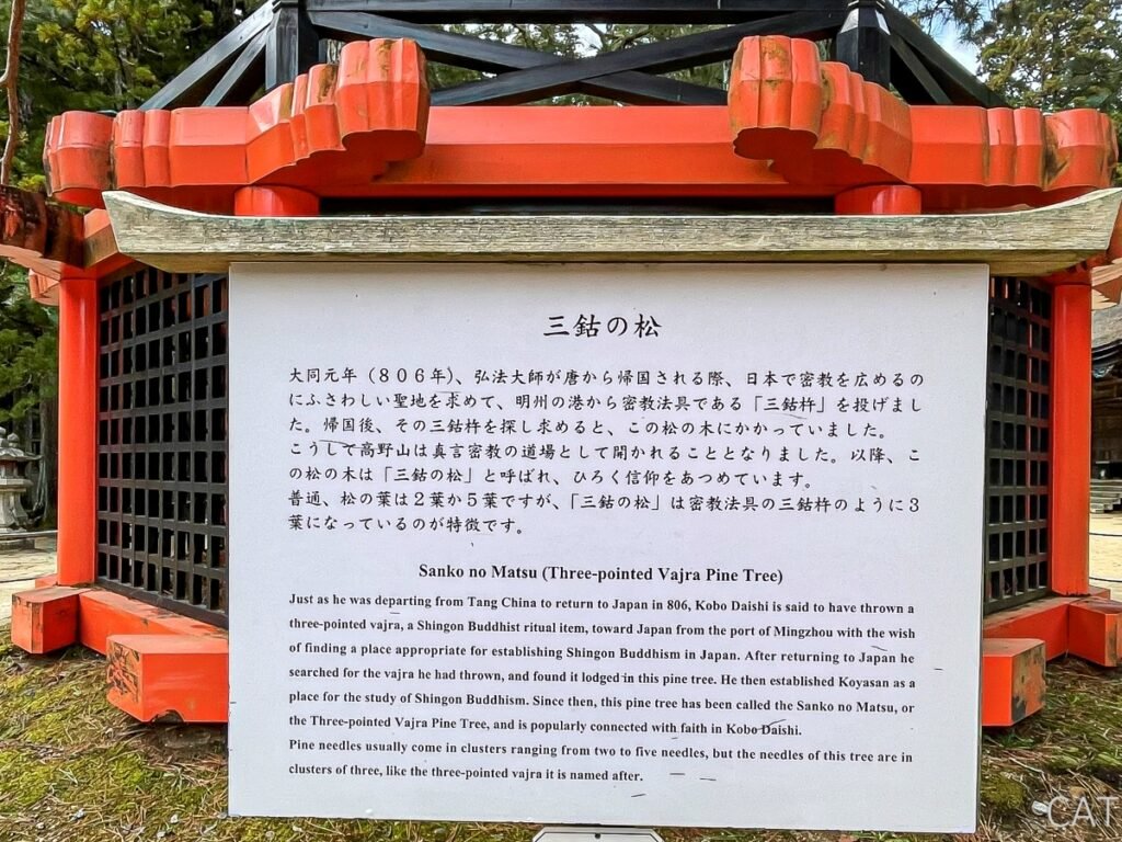 Koyasan_Danjo Garan_Kobo Daishi Cedro