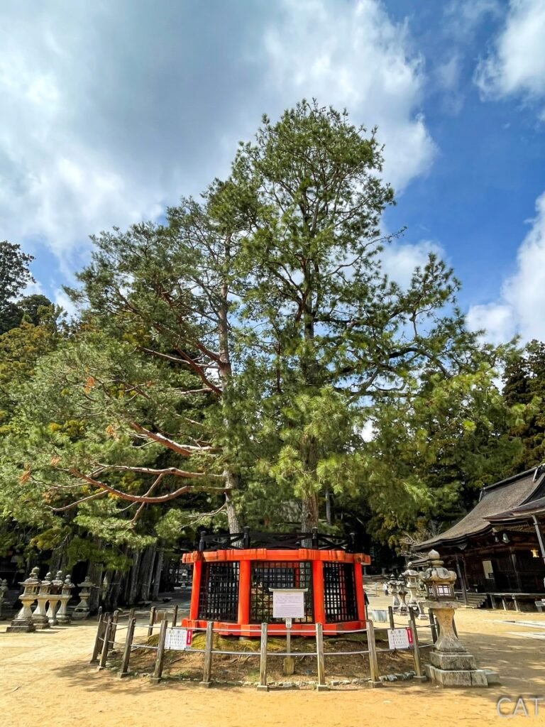 Koyasan_Danjo Garan_Kobo Daishi Cedro