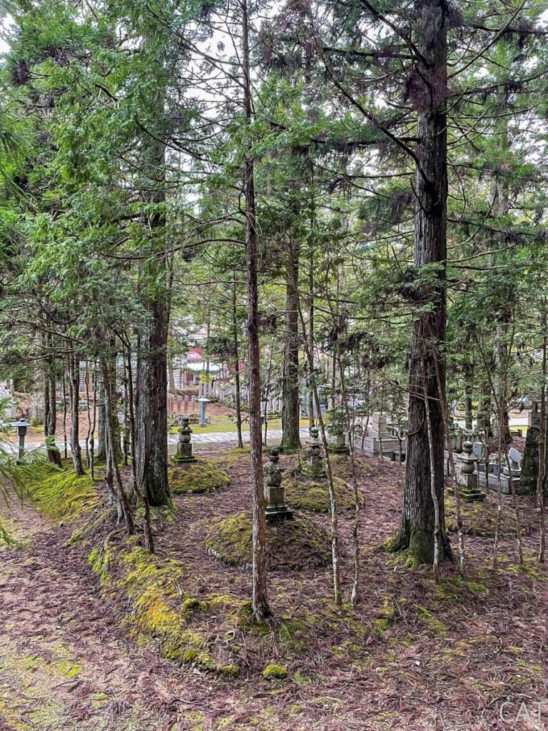 Koyasan_Okunoin Cemetery