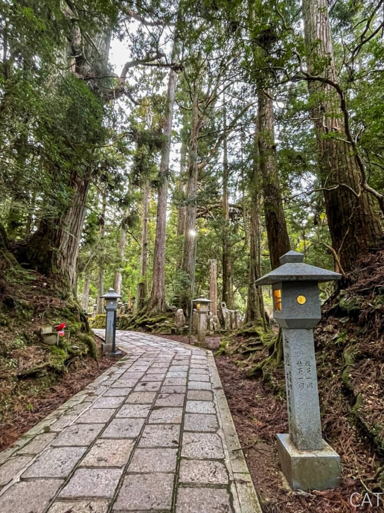Koyasan_Okunoin Cemetery
