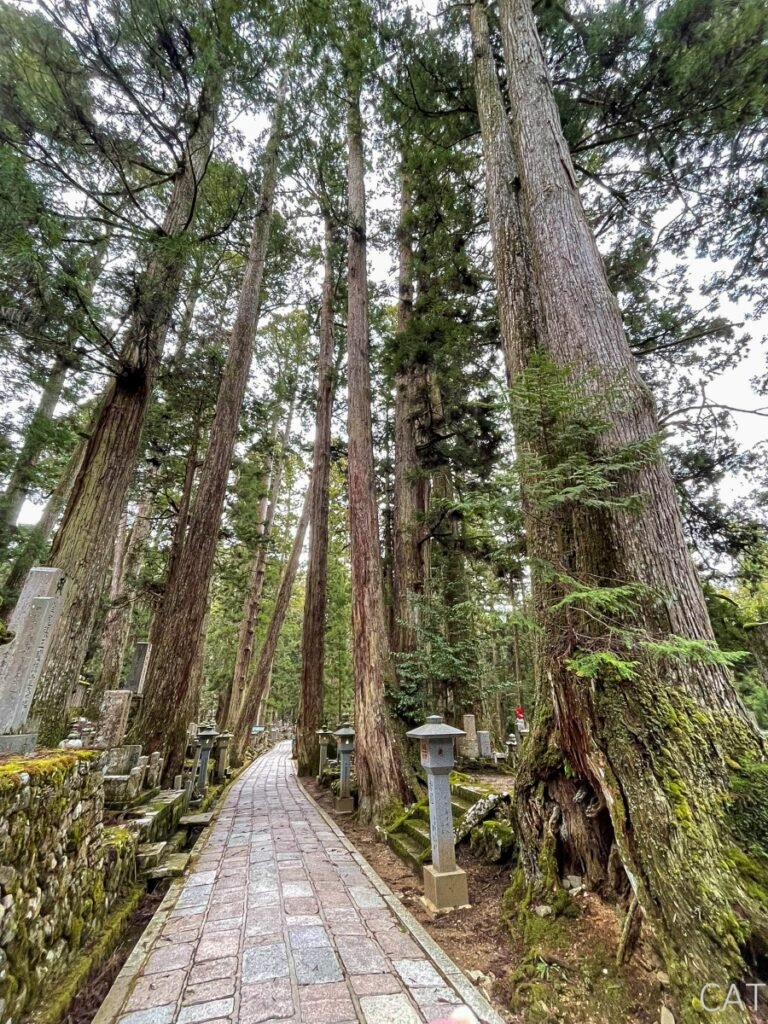 Koyasan_Okunoin Cemetery
