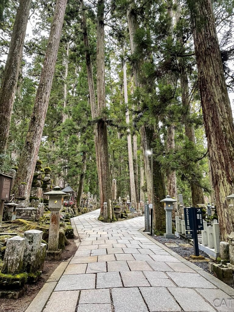 Koyasan_Okunoin Cemetery