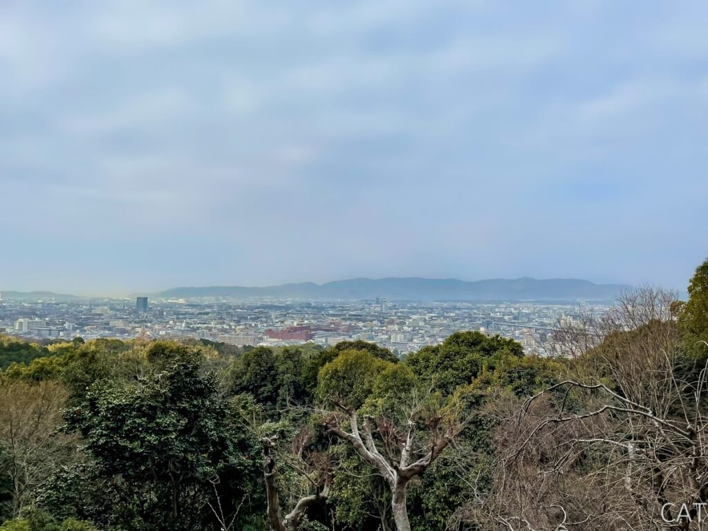 Kioto_Santuario Fushimi Inari_Vista desde el Monte Inari