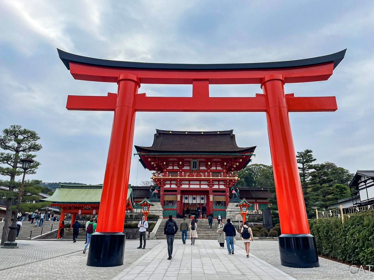 Temple Etiquette in Japan: What to Know Before You Visit_Torii Gate