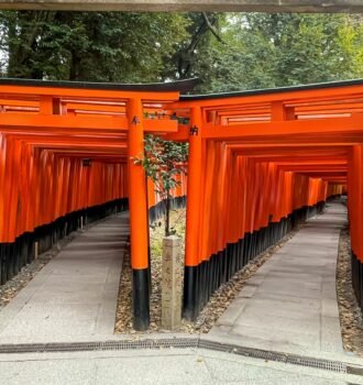 Kyoto_Fushimi Inari Shrine_Torii Gates