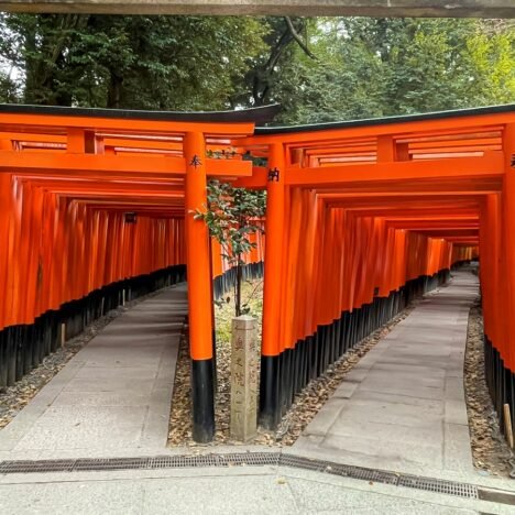 Koyasan: My Stay at a Buddhist Temple in Japan