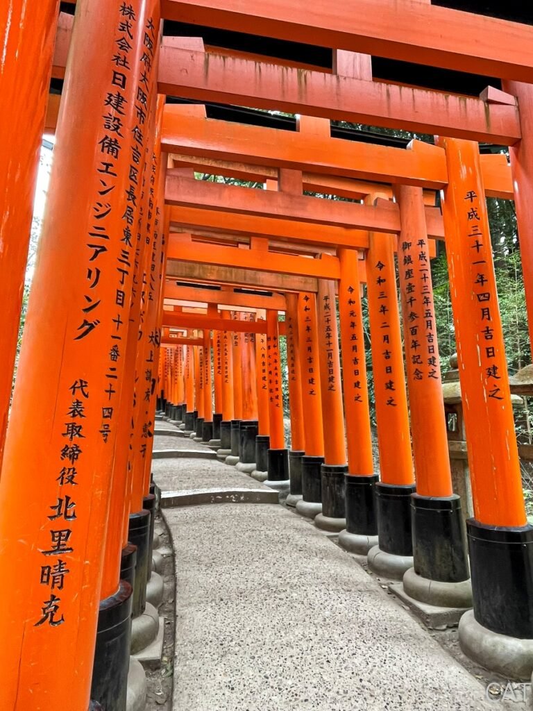 Kioto_Santuario Fushimi Inari_Torii Gates