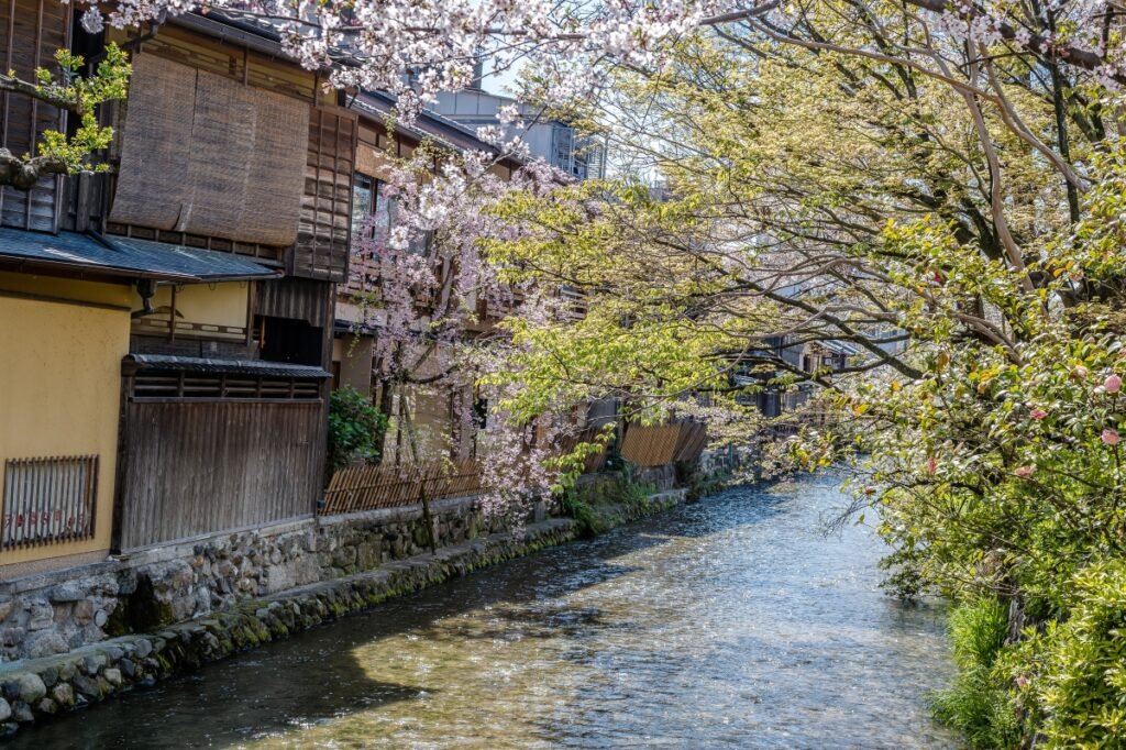 Kioto_Gion Shirakawa