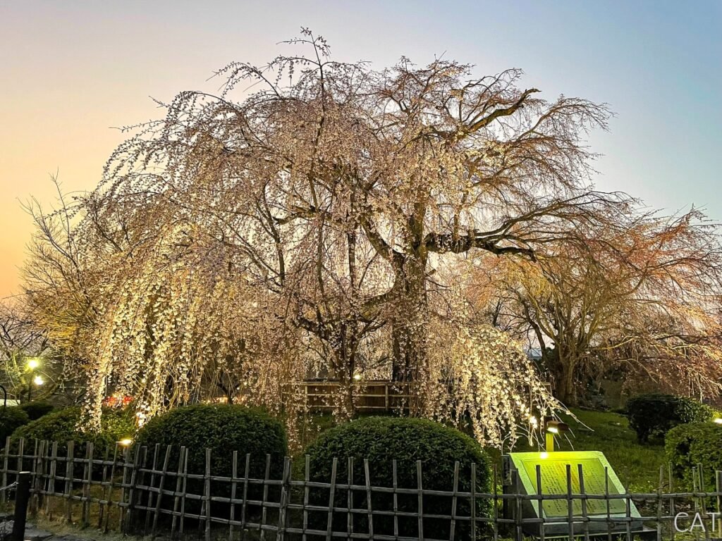 Kioto_Parque Maruyama