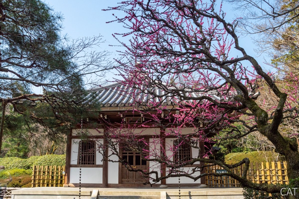 The Best of Kyoto in 3 days_Ryoan-ji Temple