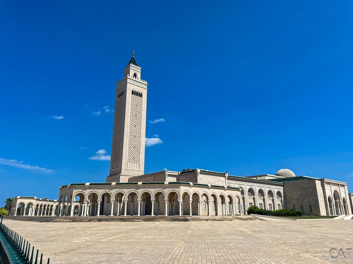 8 days in Tunisia