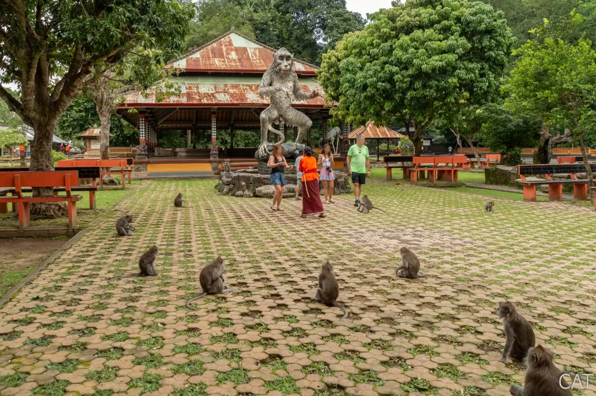 Bali in 7 days